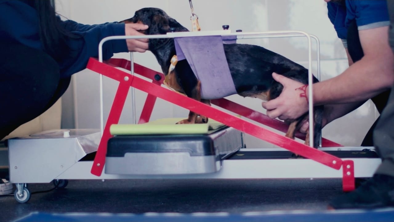 Imagen de vista previa